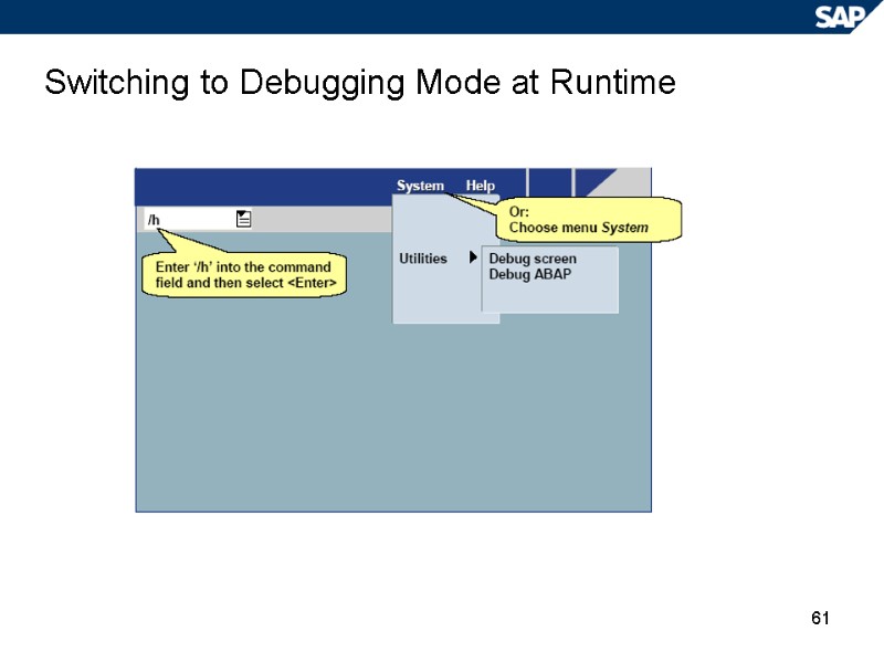 61 Switching to Debugging Mode at Runtime